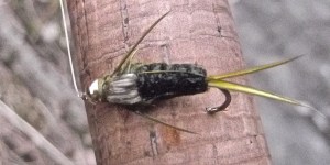 blackberry april 26 magic fly