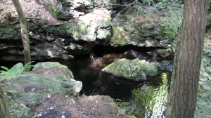The stream in Sage's Ravine stays cool even in late August.